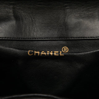 Chanel Medium Quilted Lambskin Duma Backpack