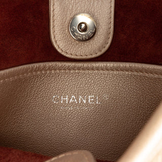 Chanel Small Quilted Metallic Calfskin Jungle Stroll Hobo