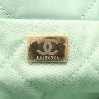 Chanel Small Quilted Shiny Calfskin 22 Handbag