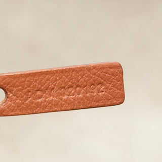 Goyard Goyardine Saint Louis PM