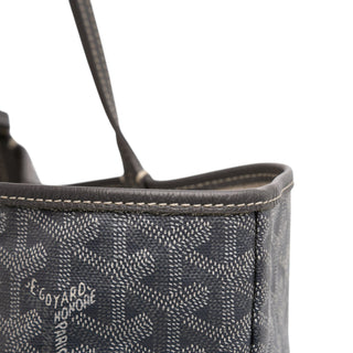 Goyard Goyardine Saint Louis PM