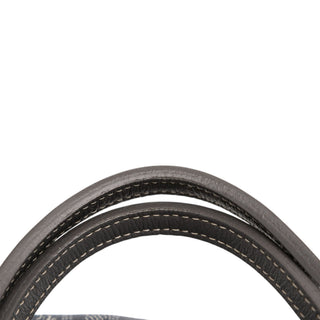 Goyard Goyardine Saint Louis PM
